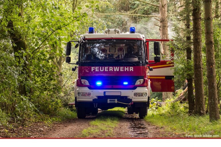 Temperaturen lassen Waldbrandgefahr steigen