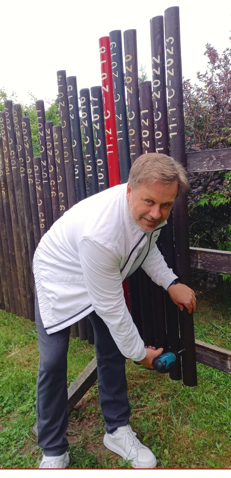 Wieder viel Holz!