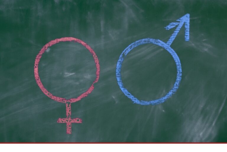 Sexuellen Bildung