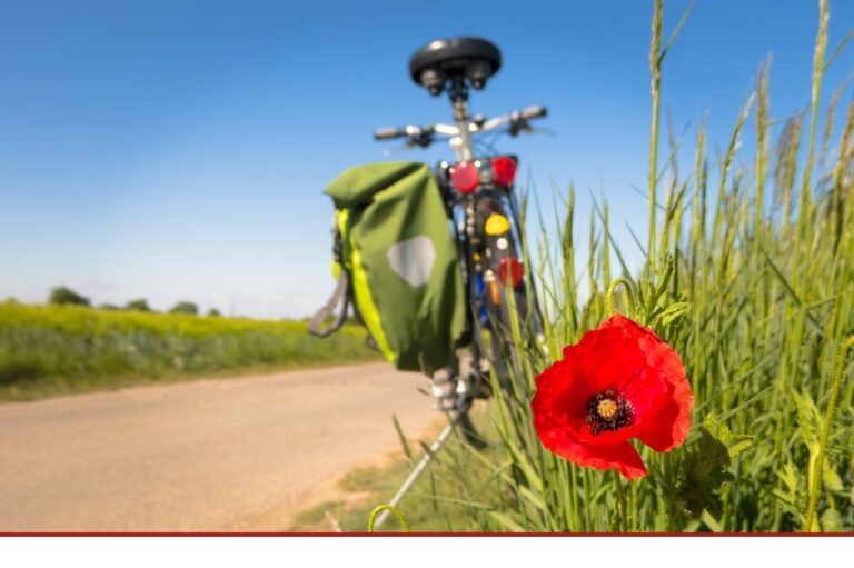 Neue Trends im Fahrradtourismus