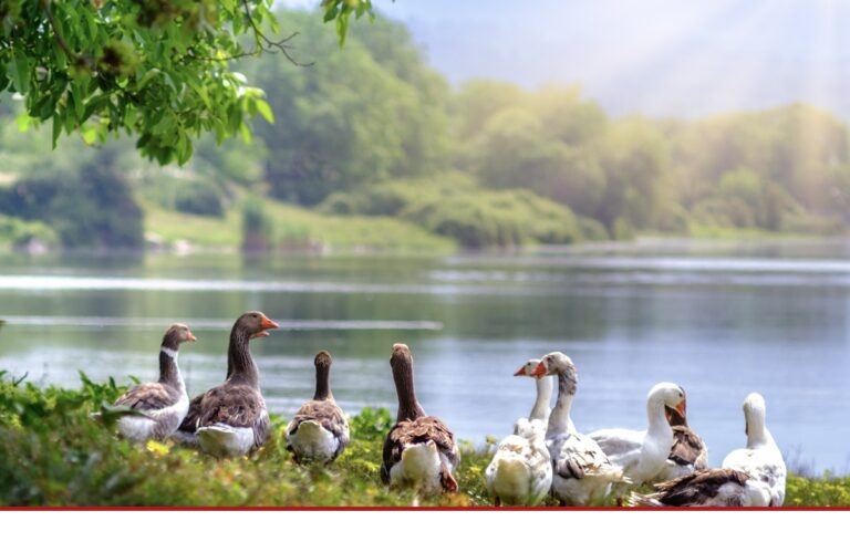 Im Takt der Natur