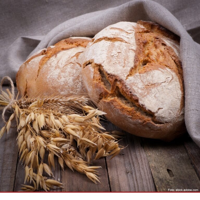 Erstes Agroforst-Brot kommt in die Läden