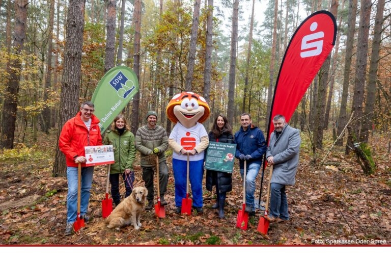 Sparkassenwald in Briesen