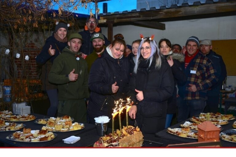 Zauberhafter Lichtermarkt