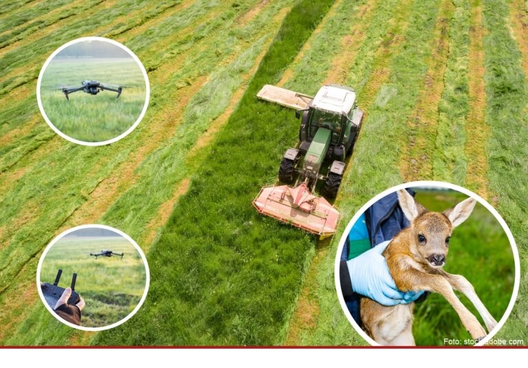Wildtierschutz mit Hightech