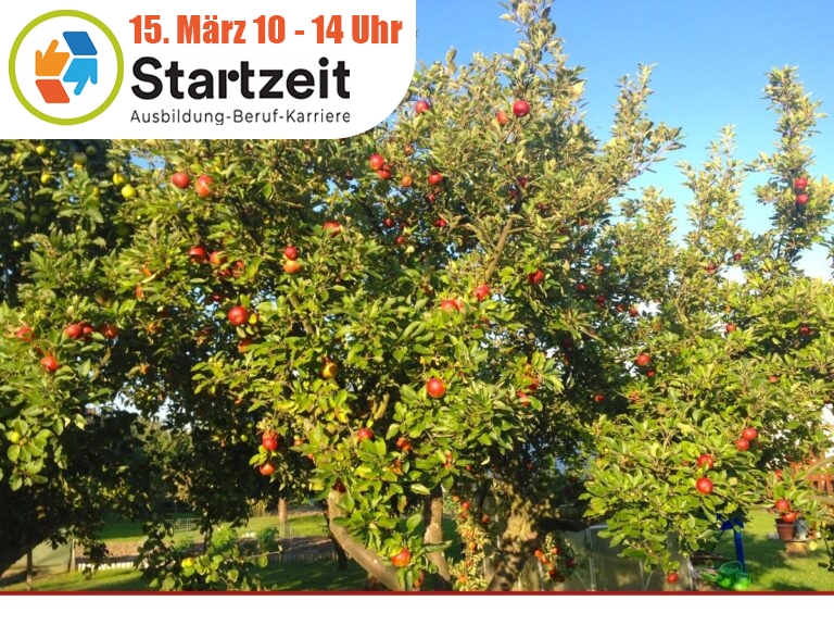 Finanzielle Unterstützung für Frostgeschädigte