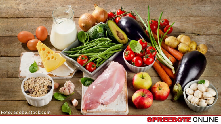 Die Ernährung der Zukunft