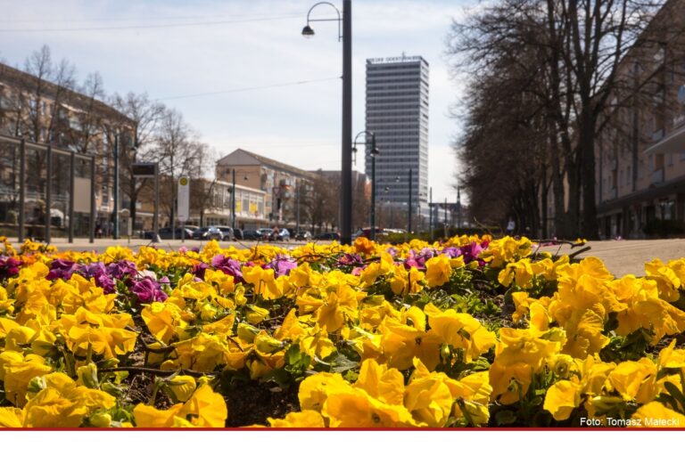 Frankfurter Cityfrühling lockt ins Freie