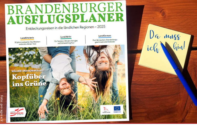 Ausflugsplaner 2025