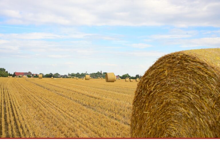 Landwirtschaftsministerium fördert
