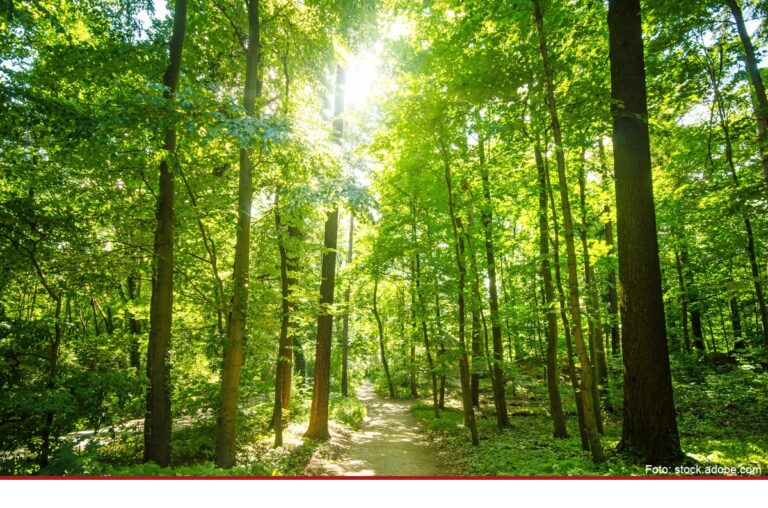 Natur erleben Vielfalt entdecken