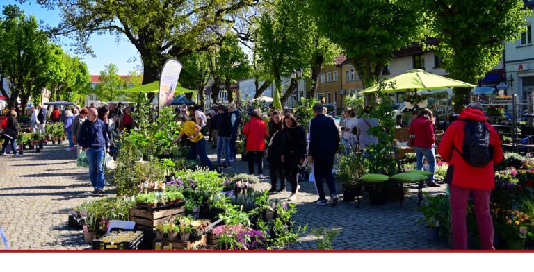 Traditionelles Knospenfest