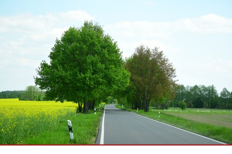 Hitze stresst Mensch und Umwelt