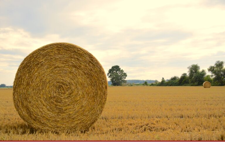 Starkes Signal für Landwirte