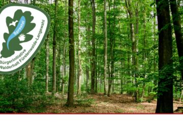 Wald statt Werkshallen