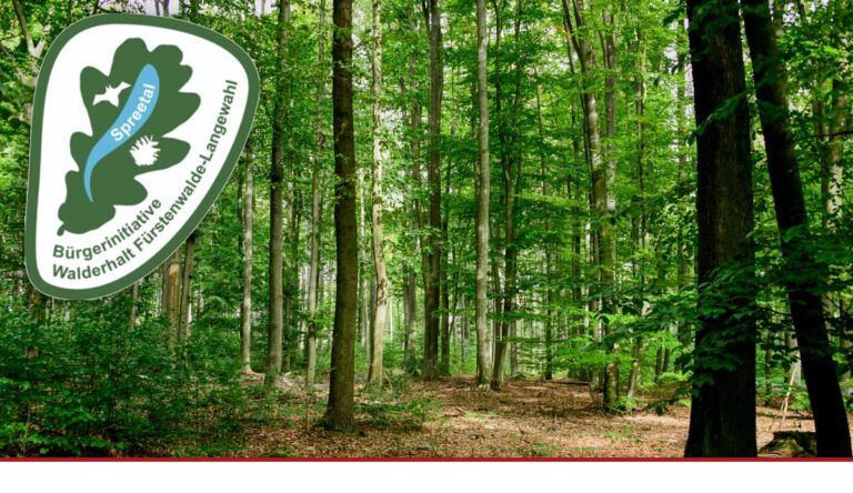 Wald statt Werkshallen