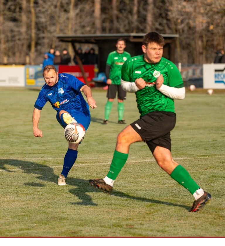 Winterliches Duell