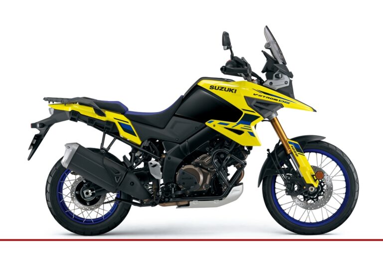 Suzuki V-Twin mit kraftvoller Charakteristik
