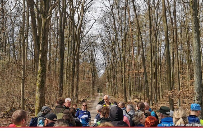 Wildauer Kleeblatt-Wanderung