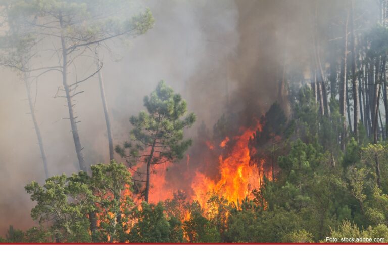 Start der Waldbrandsaison in Brandenburg