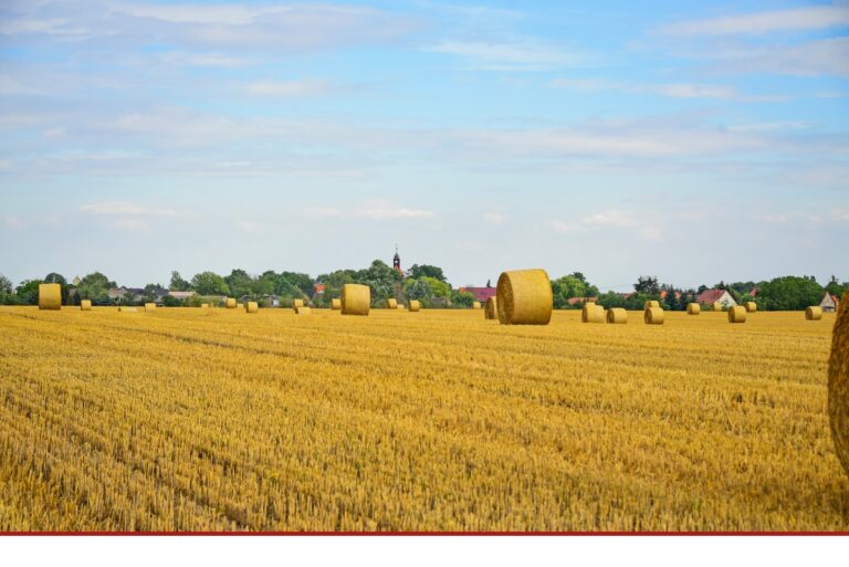 Mühlentag und Brandenburger Landpartie