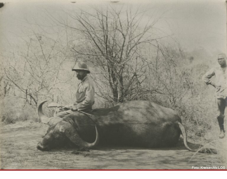Rätsel um Afrika-Sammlung