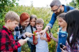 Leben und Lernen vom ersten Lebensjahr bis zur 10. Klasse