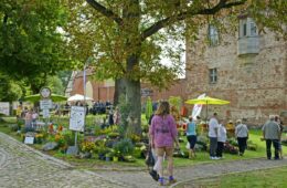 Naturpark Hoffest Burg Storkow