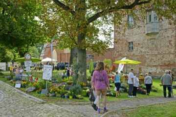 Naturpark Hoffest Burg Storkow