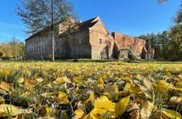 Storkower Herbstpoesie