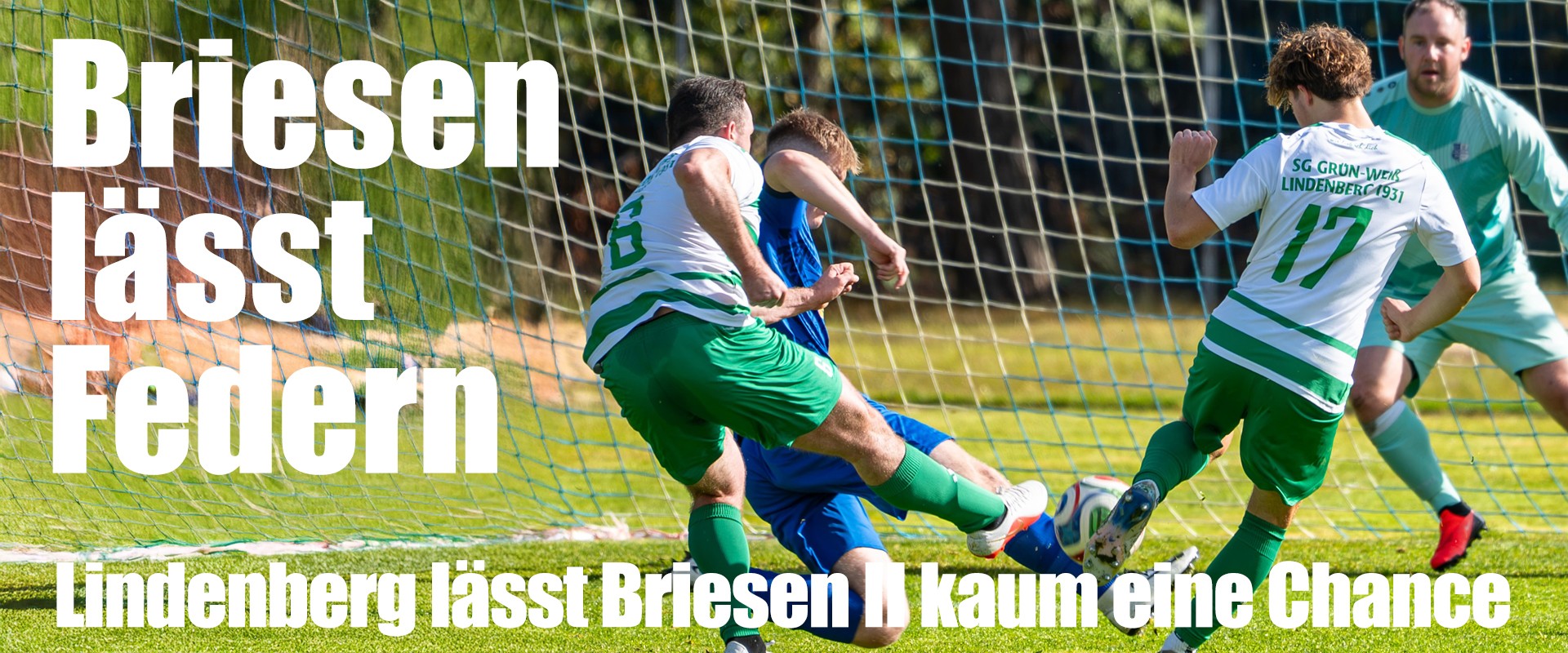Briesen lässt Federn