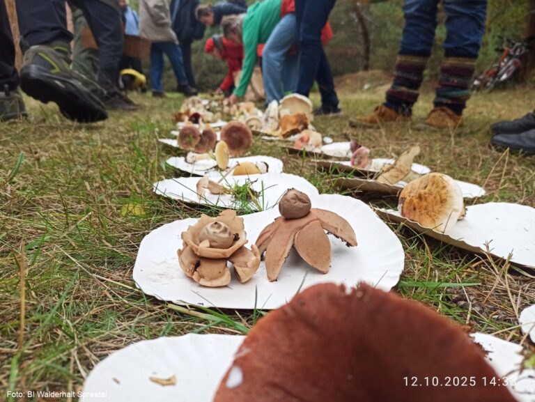 Einladung zu Radtour und Pilzwanderung