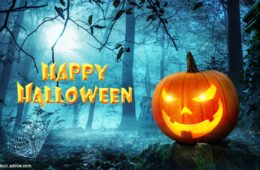 Halloween im Heimattiergarten
